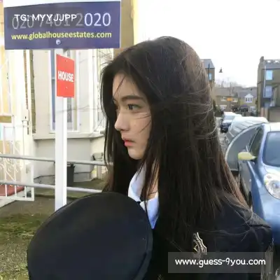 丁震